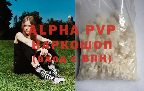 стафф Богданович