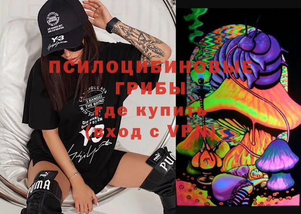 прущая мука Арсеньев