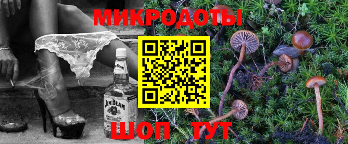 Псилоцибиновые грибы GOLDEN TEACHER Мурманск