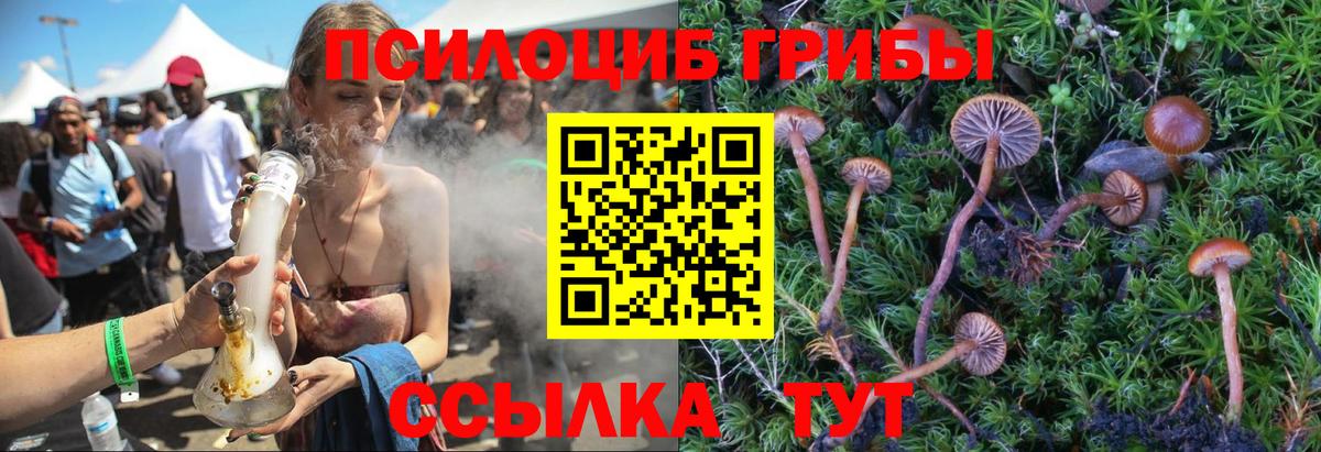 Псилоцибиновые грибы Psilocybe  Вход с VPN  Мурманск 